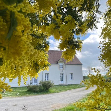 Вілла Les Mimosas Gracay Екстер'єр фото